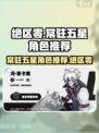 绝区零常驻角色五星推荐介绍