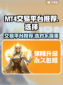 MT4交易平台推荐，游戏账号交易选它🔥💰