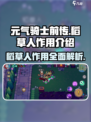 元气骑士前传稻草人有什么用介绍