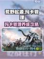 荒野起源玛卡管理怎么做介绍