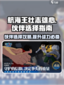 航海王壮志雄心伙伴推荐介绍