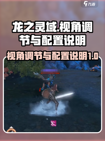 龙之灵域视角如何调节介绍截图1