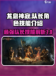 龙息神寂：队长角色与技能大曝光🔥🎮