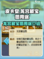 皮卡堂龙宫藏宝图有什么用介绍