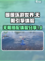 无限暖暖引擎怎么样介绍
