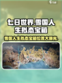 七日世界雪国人生拟态宝箱在哪介绍