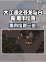 大江湖之苍龙与白鸟黑市在哪介绍