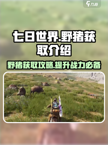 七日世界野猪在哪获取介绍截图1