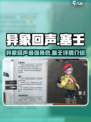 异象回声塞壬🔥游戏角色全解析来了！