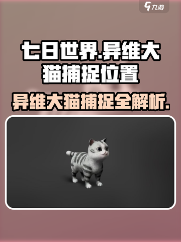 七日世界异维大猫在哪抓介绍截图1