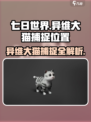 七日世界异维大猫在哪抓介绍