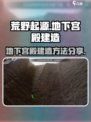 荒野起源地下宫殿怎么建造介绍