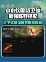 小小蚁国近卫蚁最强组合介绍