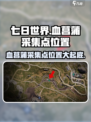 七日世界血菖蒲采集点在哪介绍