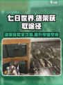 七日世界货架怎么获得介绍