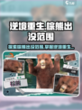 逆境重生棕熊出没范围介绍