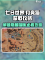 七日世界月亮猫怎么获取介绍