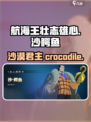 航海王壮志雄心：揭秘沙鳄鱼🔥超强详情！