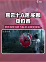 🔥燕云十六声：野外首领蛇郎中位置大曝光！💥