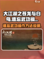大江湖之苍龙与白鸟遗忘武功怎么操作介绍
