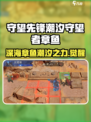 潮汐守望者章鱼是谁介绍
