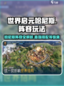 世界启元哈尼斯🔥最强阵容搭配攻略来啦！