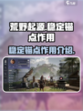 荒野起源稳定的锚点有什么用介绍