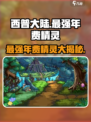 西普大陆历代年费哪个最强介绍
