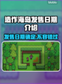造作海岛发售日期🔥海岛冒险等你来战🎮