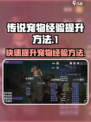 再刷一把2金色传说宠物经验如何提升介绍