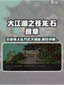 大江湖之苍龙与白鸟🔥石彦章入队方式及属性详解