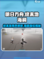 明日方舟终末地海嗣是谁介绍