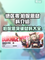 绝区零柏妮思材料介绍介绍