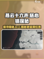 燕云十六声：慈心镇老鼠洞入口位置大曝光💥