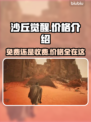 沙丘觉醒💥首发价格曝光，免费玩？真相在这里！