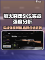 萤火突击SKS怎么样介绍