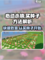 心动小镇📖种子购买攻略！快速get买种子方法🎉