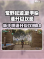 荒野起源💥快速升级攻略，新手必看！🎮