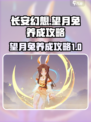 长安幻想手游望月兔怎么养成介绍