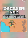 英勇之地宠物怎么捕捉介绍