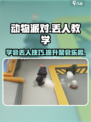 动物派对怎么扔东西介绍
