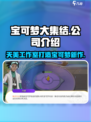 宝可梦大集结哪个公司的介绍