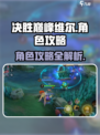 决胜巅峰维尔介绍