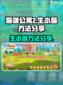 猫咪公寓2怎么生小猫介绍