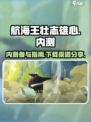 航海王壮志雄心内测怎么参加​介绍