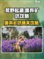荒野起源废弃矿坑🔥极限求生攻略来啦！