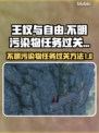 《王权与自由》支线不明污染物通关秘籍💥