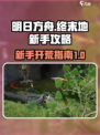 明日方舟终末地游戏攻略大全介绍