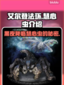 艾尔登法环：黑夜君临慧心虫竟是这般存在🔥