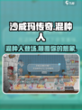沙威玛传奇混种人是什么介绍